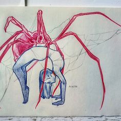 a drawing of a spider on a piece of paper with red and blue lines around it