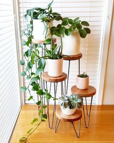 three plant stands with plants on them in front of a window