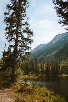 a lake surrounded by tall pine trees in the mountains