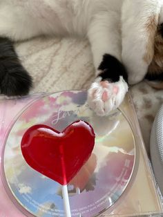 a cat laying on top of a cd next to a heart shaped lollipop