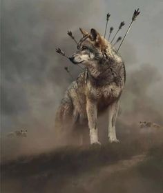 a wolf standing on top of a hill with arrows sticking out of it's back