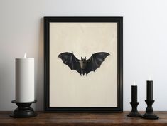 a framed photograph of a bat hangs on a wall next to candles and a candle holder