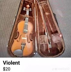 the violin is in its case and ready to be auctioned for $ 20 00