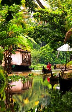 two boats floating on top of a river surrounded by lush green trees and greenery