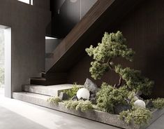 a bonsai tree sits in the center of a room with stairs and stone steps