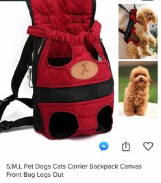 a small dog in a red carrier with its owner's photos on the back