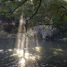 the sun is shining through the trees over the water