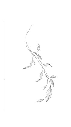 a line drawing of a branch with leaves on the top and bottom part of it