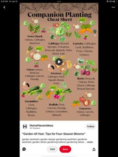an iphone screen showing the garden planner on it's side, with text that reads companion planting check sheet