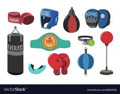 an assortment of boxing gloves and punching mitts