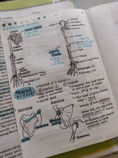 an open book with diagrams on the inside and outside of it's pages, showing different parts of the human body