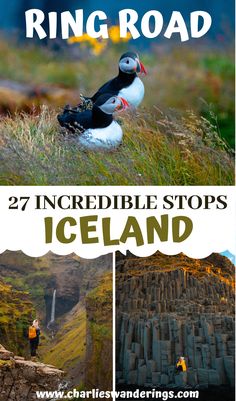 The 27 Most Beautiful Places Along The Ring Road In Iceland - CHARLIES WANDERINGS Iceland Ring Road Itinerary, Iceland Trip, Iceland Itinerary, Famous Waterfalls, South Iceland, Ring Road, Iceland Travel