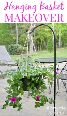 hanging basket makeover with pink flowers and greenery in the back yard for summer