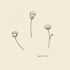 three flowers are shown in black ink on a white paper with the word butterscoop written