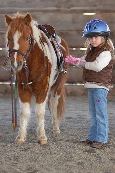 horses Riding School, Mini Horse, Miniature Horse, All The Pretty Horses, Horse Crazy, Pretty Horses, Horse Pictures, Horse Love, White Horse