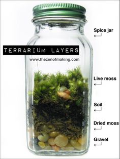 a jar filled with moss and rocks labeled in the words terrarium layer's