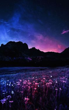 the night sky is full of stars and purple flowers