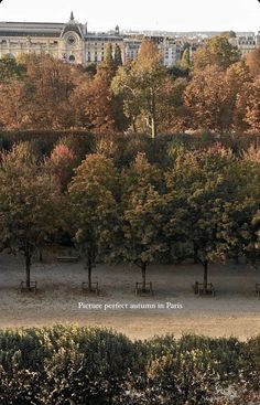 there are many trees in the park with buildings in the backgrouds behind them