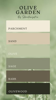 the color scheme for olive garden