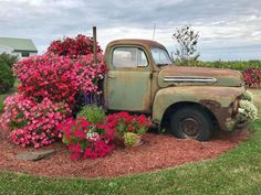 an old truck with flowers growing out of it