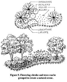 the diagram shows different types of trees and shrubs in an area that is surrounded by other plants