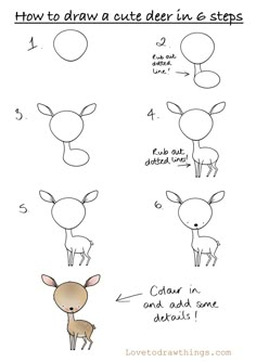 how to draw a deer in 6 steps step by step drawing instructions for beginners