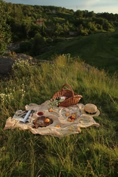 a picnic is set out in the grass