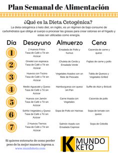 Plan Semanal 2 | Mundo Keto 500 Calorie, Low Carb Meal, Keto Menu, Keto Diet Food List, Keto Food List, Best Keto Diet, Keto Diet Menu, Diets For Beginners, Diet Food List