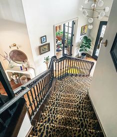 a leopard print carpeted staircase leading up to the second floor