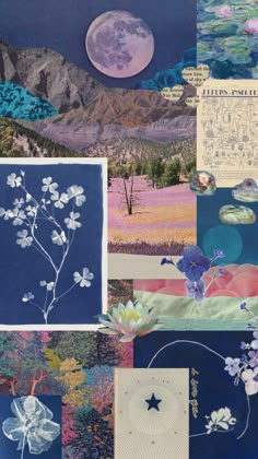 a collage of images with flowers and mountains in the background, including water lilies