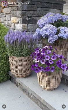 an instagram page with purple flowers in baskets on the front steps and below them