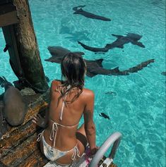 Belize Instagram Pictures, Belize Pictures Ideas, Sealife Aesthetics, Cute Vacation Pictures, Beach Babe Aesthetic, Belize Aesthetic, Island Aesthetic, Beachy Aesthetic, Senior Trip