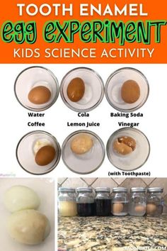 the ingredients for an egg experiment are shown in this collage, including eggs and water