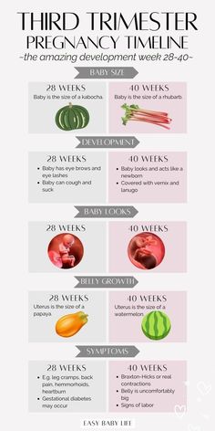 an info sheet describing the different types of fruits and vegetables