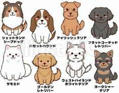 the different breeds of dogs in japanese