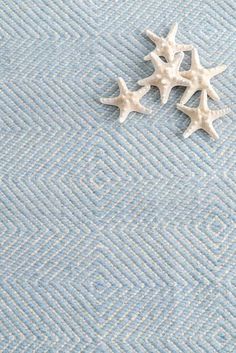 three starfishs are laying on a blue rug