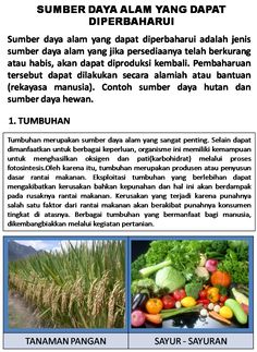 an advertisement with pictures of vegetables and fruits in the foreground, text reads sumber daya alamn yang dapat