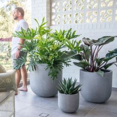 a man standing in front of three potted plants on a porch next to a couch