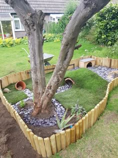 a tree that is sitting in the middle of a yard with rocks and grass around it