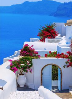 a white building with blue doors and flowers on the outside, next to water in the background