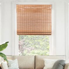 a living room with a couch, chair and window covered in bamboo blind shades on the windowsill