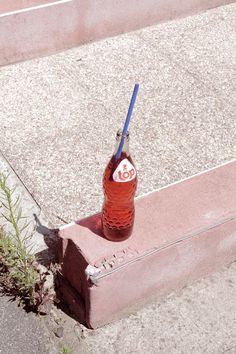 a red bottle with a blue straw sticking out of it sitting on the side of a road