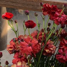 red and yellow flowers in a vase on a window sill