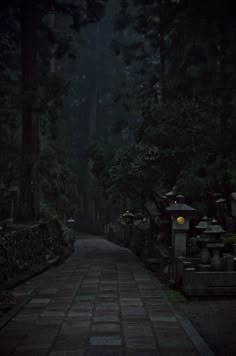 an empty path in the middle of a forest at night with lanterns lit on it