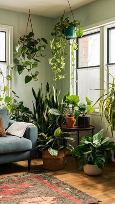 a living room filled with lots of plants next to two windows and a rug on the floor