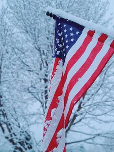 an american flag hanging from a pole in front of a snow covered tree with no leaves