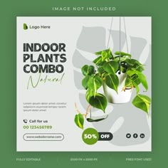 an advertisement for indoor plants with green leaves on the planter and hanging from strings