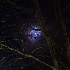 the moon is shining brightly in the dark night sky behind some bare trees and branches