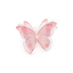 a pink butterfly on a white background