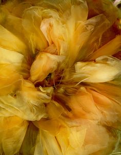 a large yellow flower that is in the middle of it's blooming petals